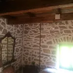 Medieval Village 3*