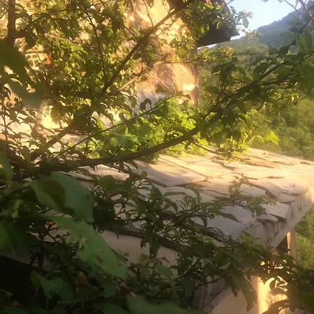 Medieval Village Rural