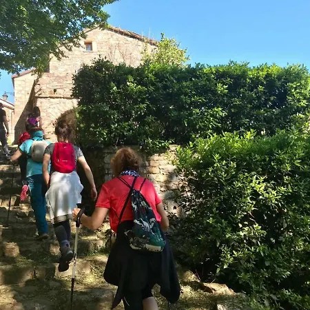 Medieval Village Bed and Breakfast