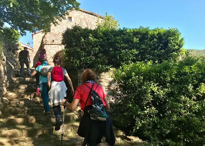 Medieval Village Bed and Breakfast